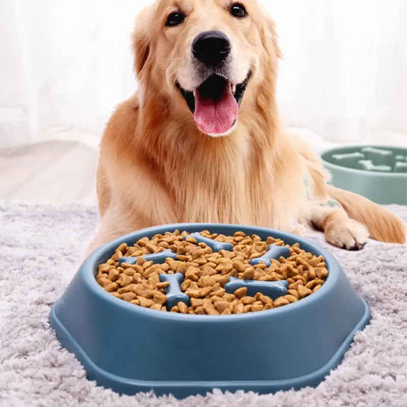 Pet Plate Anti-gulping