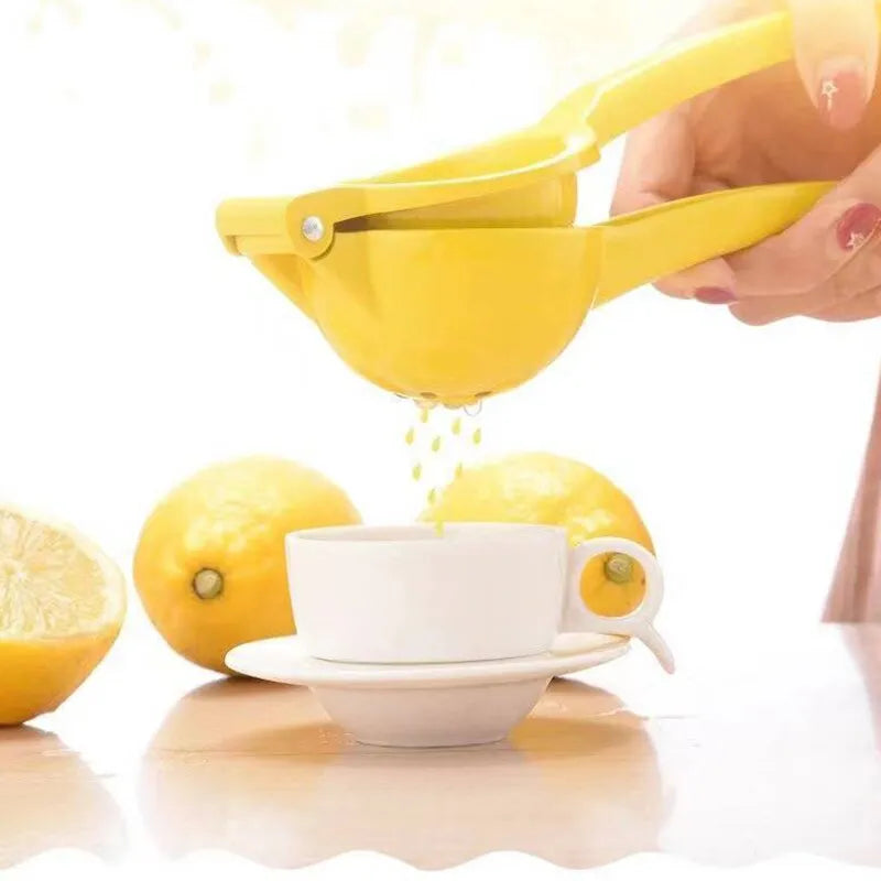 Hand Pressed Fruit Juicer