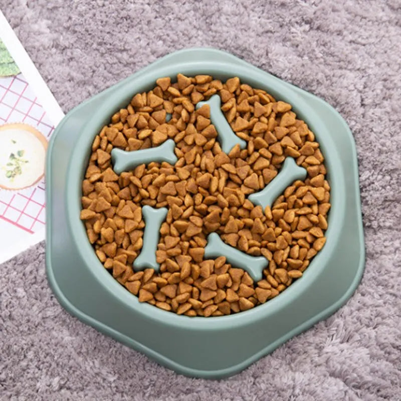 Pet Plate Anti-gulping