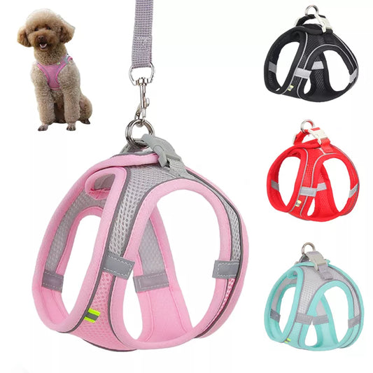 Leash Set for Small Dogs Adjustable Puppy Cat Harness