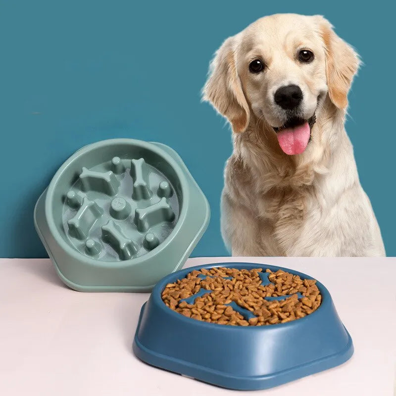 Pet Plate Anti-gulping