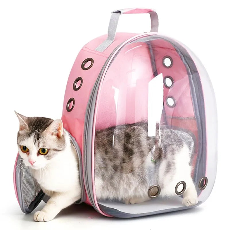 Cat Pet Carrier Backpack Transparent