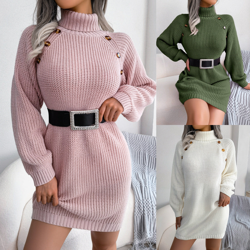 Winter Turtleneck Long Sweater Dress